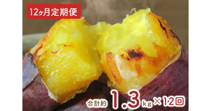 【ふるさと納税】【12ヶ月定期便】熟成紅はるかの冷凍焼き芋約1.2kg＋おまかせ品種さつまいも　合計1.3kg！（EY-19）