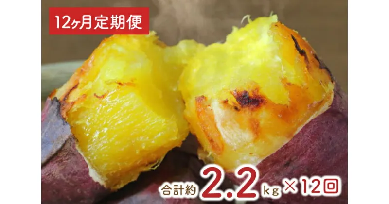 【ふるさと納税】【12ヶ月定期便】熟成紅はるかの冷凍焼き芋約2kg＋おまかせ品種さつまいも　合計約2.2kg！（EY-20）