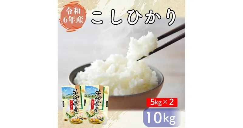 【ふるさと納税】【令和6年産】お米好き必見！ 7日以内に発送！！【令和6年産】茨城県の恵み こしひかり10kg（5kg×2袋） ～茨城県自慢のこしひかり～　茨城県 行方市 新鮮 おいしい お米 送料無料 白米 精米 国産 ごはん ご飯 白飯 ゴハン ごはんのおとも(FG-8)