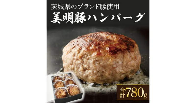 【ふるさと納税】美明豚ハンバーグ　130g　6個セット（AP-12）