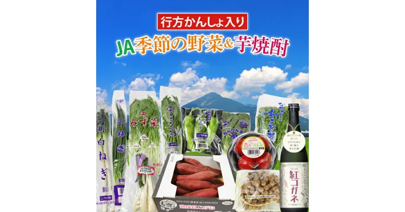 【ふるさと納税】【『行方かんしょ』入り】JA　季節の野菜＆芋焼酎(AE-5)