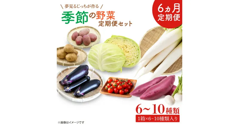 【ふるさと納税】【6ヶ月定期便】 夢見るじっちが作る季節の野菜セット6～10種類入り1箱(CN-7)