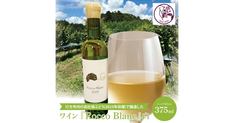 【ふるさと納税】行方市内の自社畑ぶどう（2023年収穫）で醸造したワイン 『Rocco Blanc』白【ハーフ】(GQ-3)