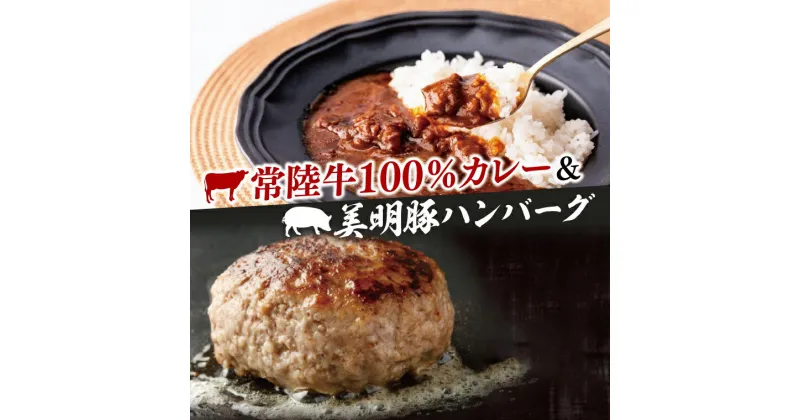 【ふるさと納税】常陸牛カレー(200g×3個)＆美明豚ハンバーグ(約130g×3個)(AP-14)