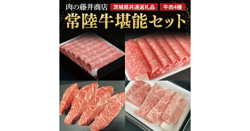 【ふるさと納税】【常陸牛】肉の藤井商店 ～常陸牛堪能セット～　常陸牛 高級牛肉 贅沢セット ギフトセット　バーベキュー BBQ 食べ比べセット お中元 お歳暮 国産 牛肉 肉 お肉 すき焼き A4ランク A5ランク ブランド牛 （茨城県共通返礼品）(FL-26)