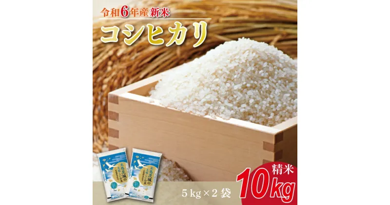 【ふるさと納税】★新米★【数量限定】R6年産 コシヒカリ 10kg(5kg×2袋)　茨城県産米(HA-2)