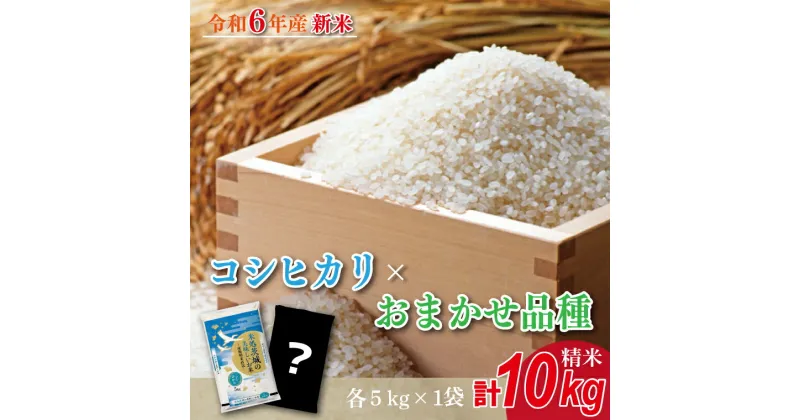 【ふるさと納税】★新米★【数量限定】R6年産 コシヒカリ 5kg＋おまかせ 5kg　茨城県産米　おいしさ食べ比べセット(HA-3)