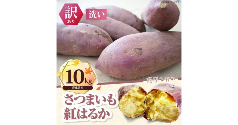 【ふるさと納税】【訳あり】紅はるか 約10kg（洗い）(BS-23)