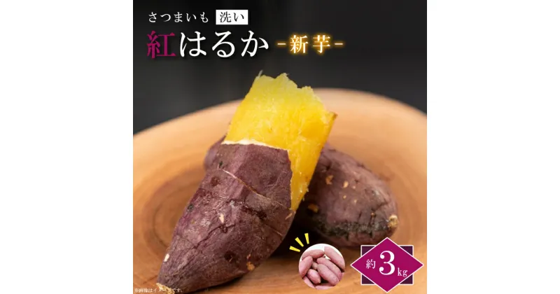 【ふるさと納税】農産物直売所「やさいの声」さつまいも　紅はるか　新芋　洗い　約3kg(EK-8)