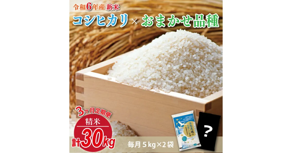 【3回定期便】【2024年12月より順次発送】★新米★【数量限定】R6年産 コシヒカリ 5kg＋おまかせ 5kg　茨城県産米　おいしさ食べ比べセット(HA-6)