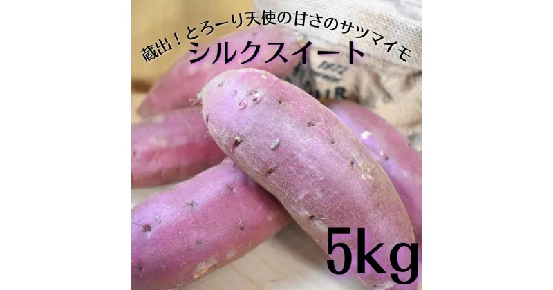 【ふるさと納税】蔵出！とろーり天使の甘さのサツマイモ！シルクスイート 5kg 土付き