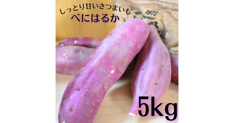 【ふるさと納税】しっとり甘いさつまいも！べにはるか 5kg 紅はるか 土付き