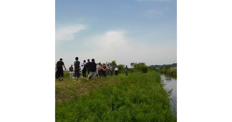 【ふるさと納税】自然体験＆民宿（ゲストハウス） 1棟貸切　1泊4名　茨城県産　鉾田市産　農業　海　川　アウトドア