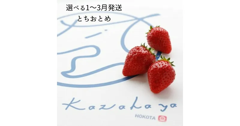 【ふるさと納税】選べる 発送月 個数 いちご「とちおとめ」風早いちご園