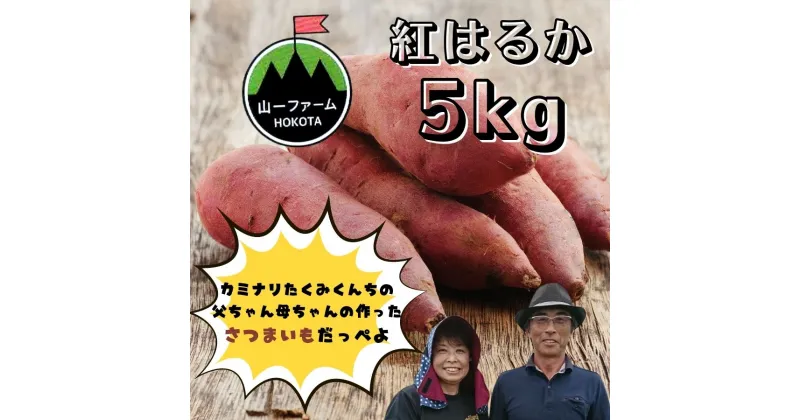 【ふるさと納税】紅はるか（5kg入り）1箱