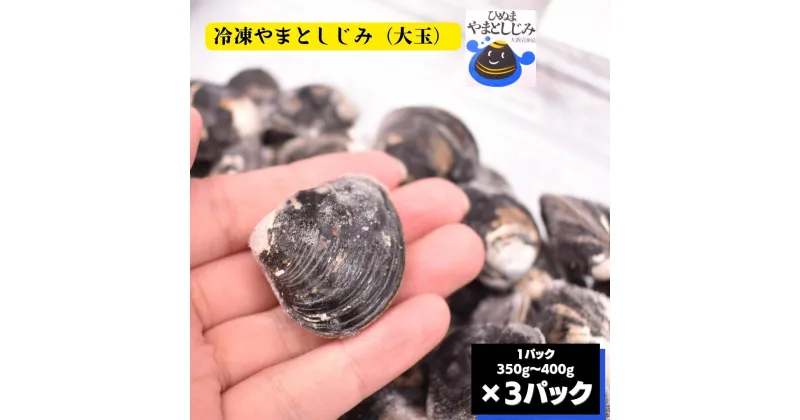 【ふるさと納税】冷凍 やまとしじみ 大玉 3パック 1パック350g～400g