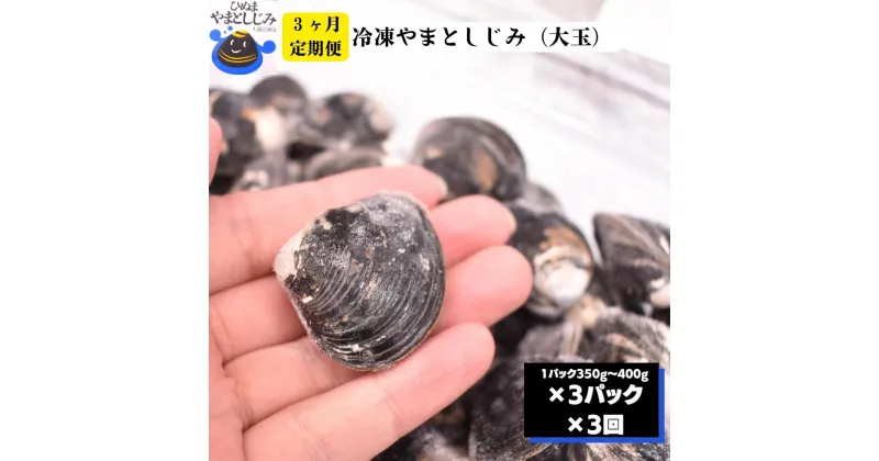 【ふるさと納税】 3ヶ月定期便 冷凍 やまとしじみ 大玉 3パック 1パック350g～400g 3回