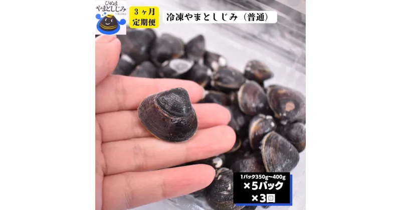 【ふるさと納税】3ヶ月定期便 冷凍 やまとしじみ 普通 5パック 1パック350g～400g 3回