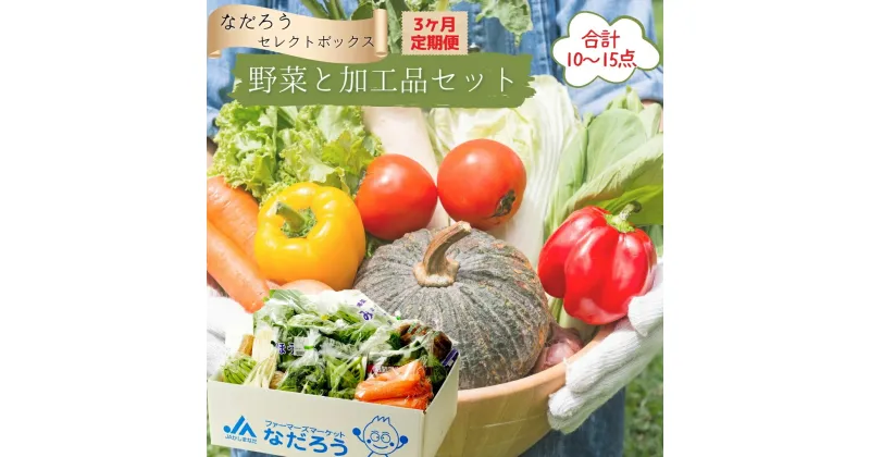 【ふるさと納税】野菜と加工品「なだろう」セレクトボックス《3ヶ月定期便》