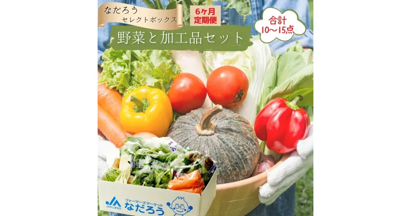 【ふるさと納税】野菜と加工品「なだろう」セレクトボックス《6ヶ月定期便》