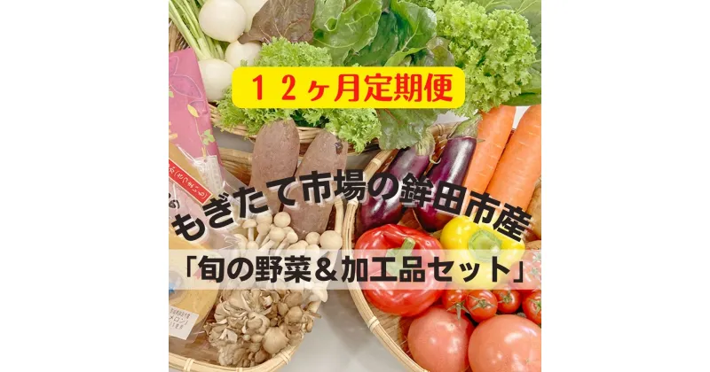 【ふるさと納税】〈12ヶ月定期便〉旬の野菜8~10品目&加工品1~2品目セット 農業王国 鉾田市