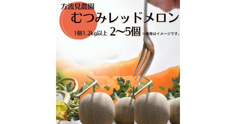 【ふるさと納税】メロン めろん 赤肉 2～5個 むつみレッドメロン 1.2kg以上 おすすめ 人気 国産 赤 茨城 鉾田 フルーツ 旬 大きい プレゼント 贈り物 甘い 産地直送 5月～6月発送 方波見農園