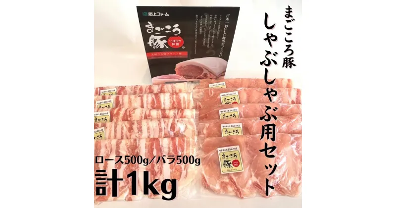 【ふるさと納税】【選べる発送月】まごころ豚 しゃぶしゃぶ用豚肉セット1kg（ロース500g＆豚バラ500g）