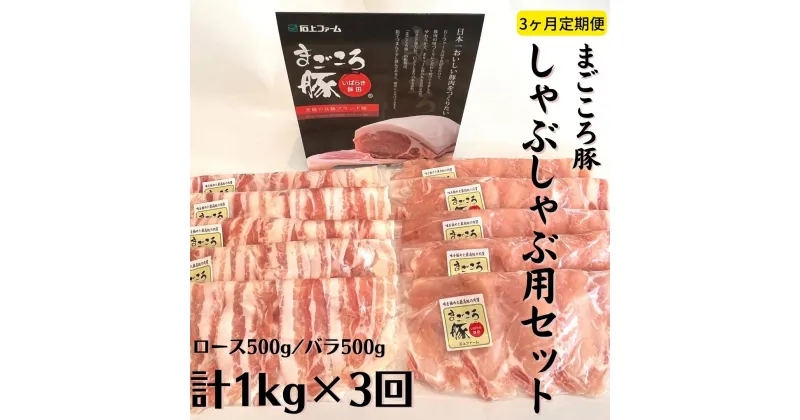 【ふるさと納税】〈3ヶ月定期便〉まごころ豚 しゃぶしゃぶ用豚肉セット1kg（ロース500g＆豚バラ500g）×3回