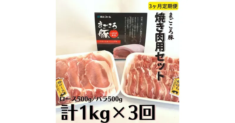 【ふるさと納税】〈3ヶ月定期便〉まごころ豚 焼肉用豚肉セット1kg（ロース500g＆豚バラ500g）×3回