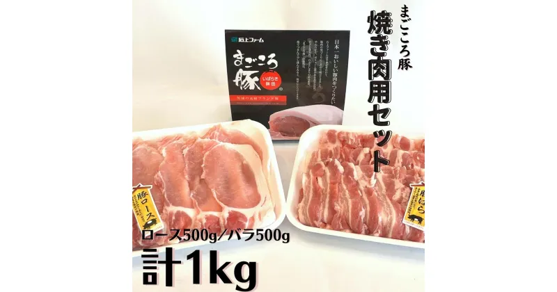 【ふるさと納税】まごころ豚 焼肉用豚肉セット1kg（ロース500g＆豚バラ500g）