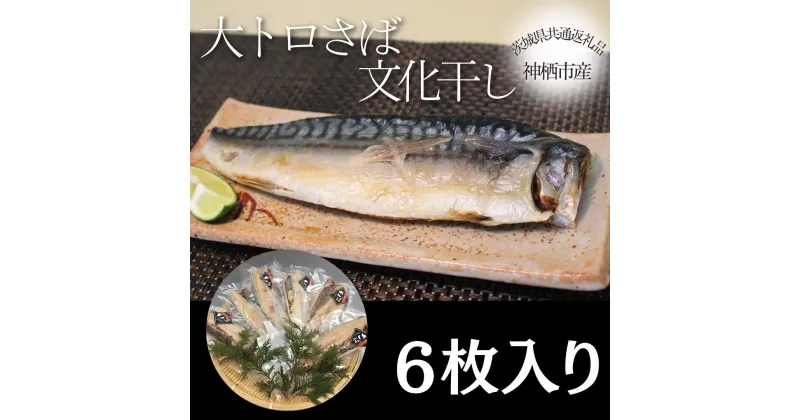 【ふるさと納税】大トロさば文化干し　6枚（茨城県共通返礼品・神栖市産）