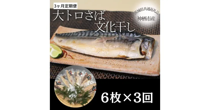 【ふるさと納税】【3ヶ月定期便】大トロさば文化干し　6枚×3回　（茨城県共通返礼品・神栖市産）