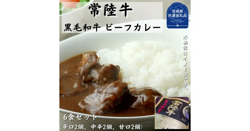 【ふるさと納税】常陸牛【黒毛和牛】 ビーフカレー 6食セット（茨城県共通返礼品・茨城町産）