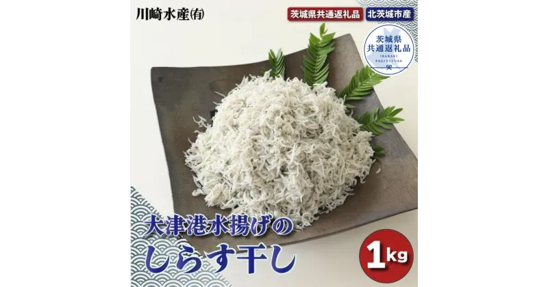 【ふるさと納税】大津港水揚げのしらす干し 1kg（茨城県共通返礼品・北茨城市産）