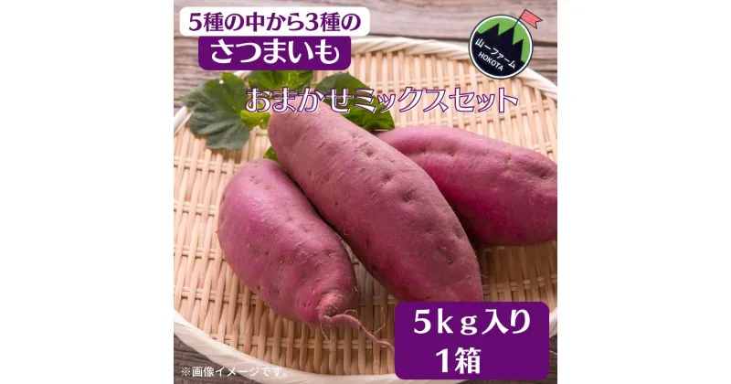 【ふるさと納税】さつまいも／3種おまかせミックスセット　5kg