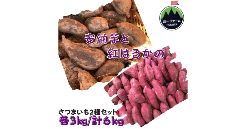 【ふるさと納税】さつまいも2種セットA（紅はるか3kg＋安納芋3kg）計6kg