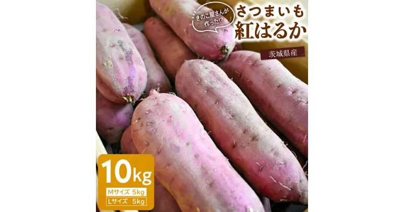 【ふるさと納税】さつまいも／紅はるか（Mサイズ5kg＋Lサイズ5kg）計10kg ［きのこ屋さんの サツマイモ ］