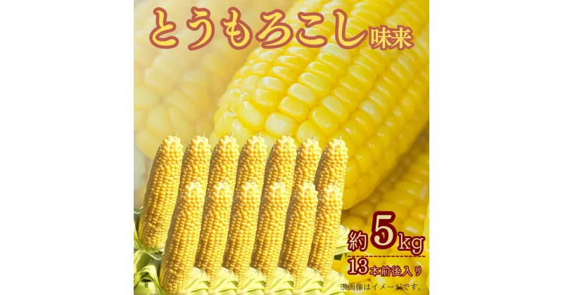 【ふるさと納税】ひろ子のとうもろこし（味来）　約5kg／約13本前後入り