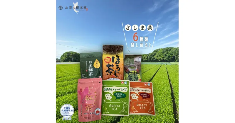 【ふるさと納税】 お茶の根本園 さしま茶6種飲み比べセット（茨城県共通返礼品・坂東市産）