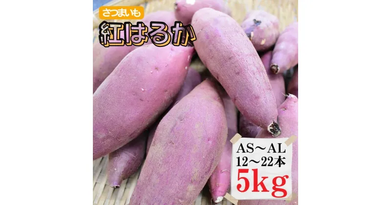 【ふるさと納税】蔵出し限定さつまいも「紅はるか」5kg AS・AM・AL