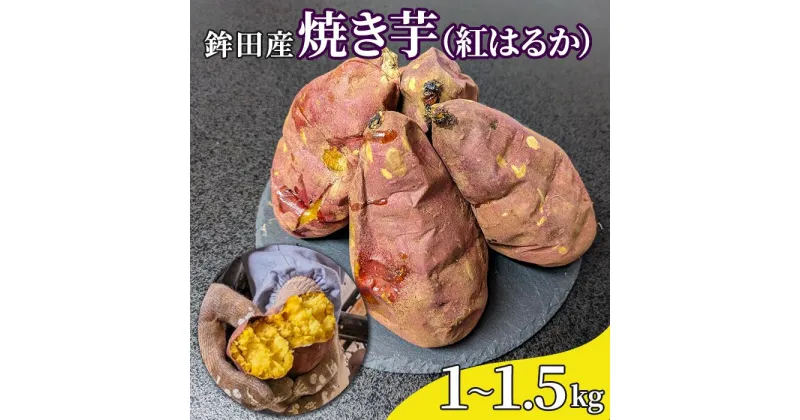 【ふるさと納税】鉾田産　焼き芋（紅はるか）1～1.5kg