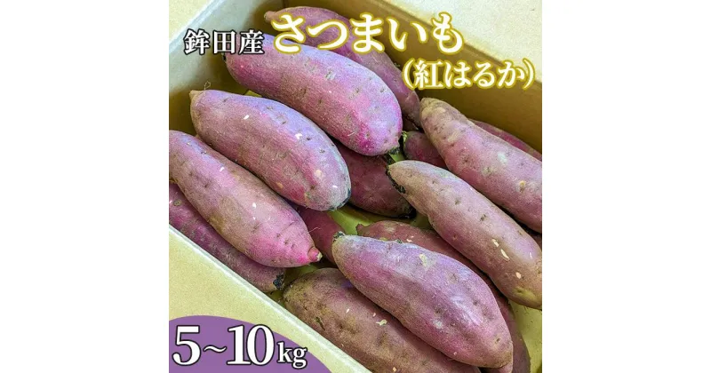 【ふるさと納税】鉾田産さつまいも（紅はるか）S～2Lサイズ　5～10kg