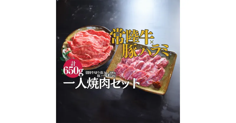 【ふるさと納税】【超堪能！】常陸牛（300g）×豚ハラミ（350g）　一人焼肉セット