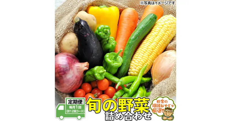 【ふるさと納税】田舎の頑固おやじ厳選！【定期便】旬の野菜詰め合わせセット 毎月1回 (計12回コース)