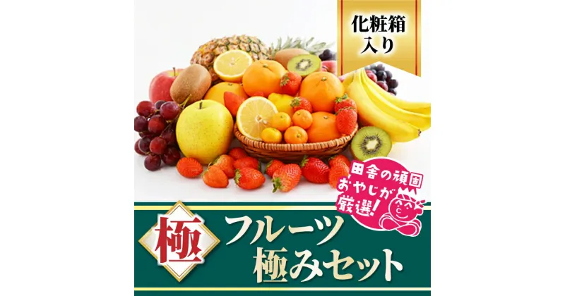 【ふるさと納税】田舎の頑固おやじが厳選！フルーツ極みセット【順次お届け】［化粧箱入り］　ギフト　フルーツ　果物