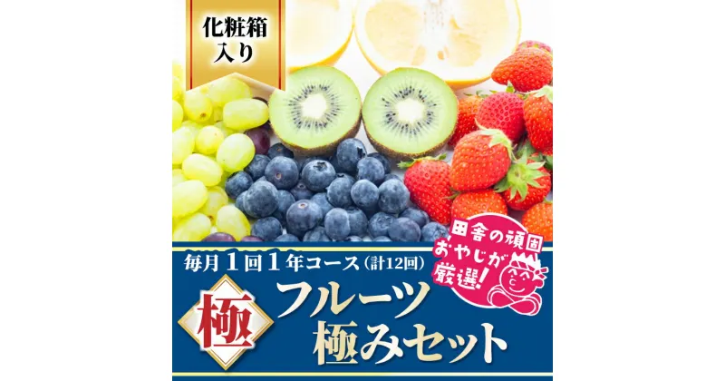 【ふるさと納税】田舎の頑固おやじが厳選！フルーツ 極み 定期便 セット【 毎月1回 1年コース ( 計12回 ) 】［化粧箱入り］ ギフト フルーツ 果物 詰合せ 人気 厳選 定期 くだもの 贅沢 フルーツセット ギフト