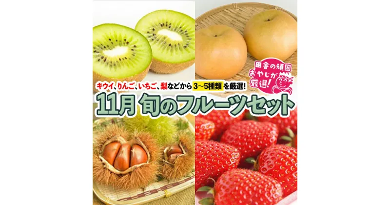 【ふるさと納税】旬のフルーツセット 11月号【令和6年11月より発送開始】 田舎の頑固おやじが厳選！