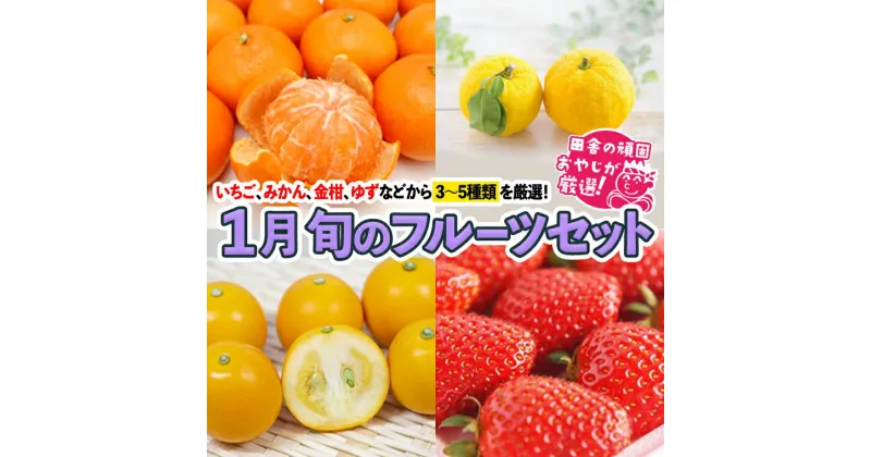 【ふるさと納税】旬のフルーツセット 1月号 【令和7年1月より発送開始】田舎の頑固おやじが厳選！