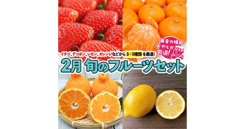 【ふるさと納税】旬のフルーツセット 2月号【令和7年2月より発送開始】 田舎の頑固おやじが厳選！