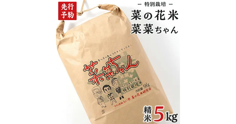 【ふるさと納税】【 先行予約 】【 10月 発送開始 】 令和6年産 コシヒカリ ( 精米 5kg ) 特別栽培 菜の花米 「菜菜ちゃん」 米 こめ ごはん ご飯 白米 国産 茨城県産 新生活 プレゼント 新生活応援 必要なもの 便利 おすすめ 消耗品 一人暮らし 二人暮らし 必要 こしひかり